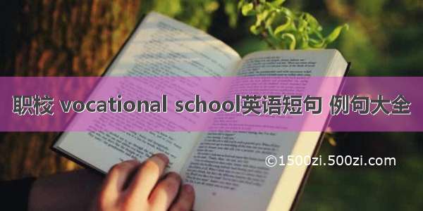 职校 vocational school英语短句 例句大全