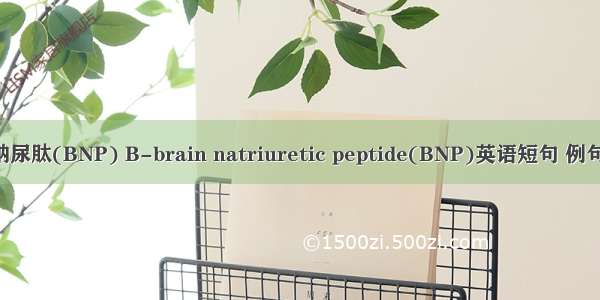 B型钠尿肽(BNP) B-brain natriuretic peptide(BNP)英语短句 例句大全