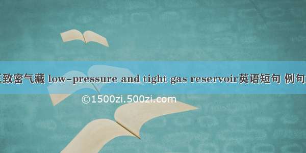 低压致密气藏 low-pressure and tight gas reservoir英语短句 例句大全