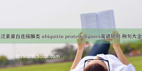 泛素蛋白连接酶类 ubiquitin protein ligases英语短句 例句大全