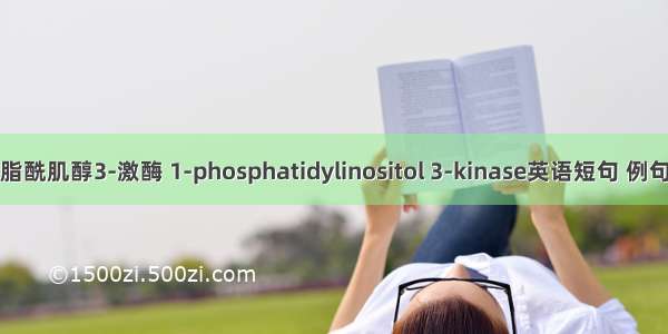 1-磷脂酰肌醇3-激酶 1-phosphatidylinositol 3-kinase英语短句 例句大全