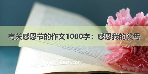 有关感恩节的作文1000字：感恩我的父母