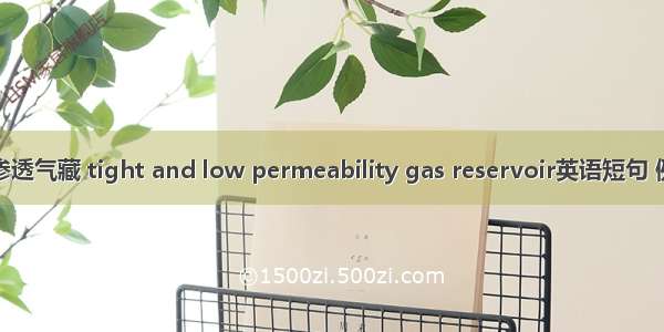 致密低渗透气藏 tight and low permeability gas reservoir英语短句 例句大全