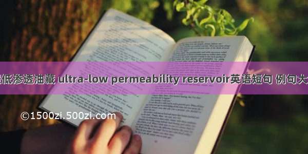 超低渗透油藏 ultra-low permeability reservoir英语短句 例句大全