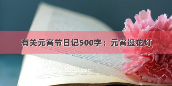 有关元宵节日记500字：元宵逛花灯