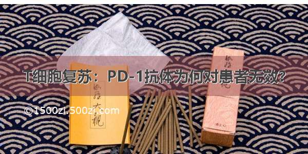 T细胞复苏：PD-1抗体为何对患者无效？