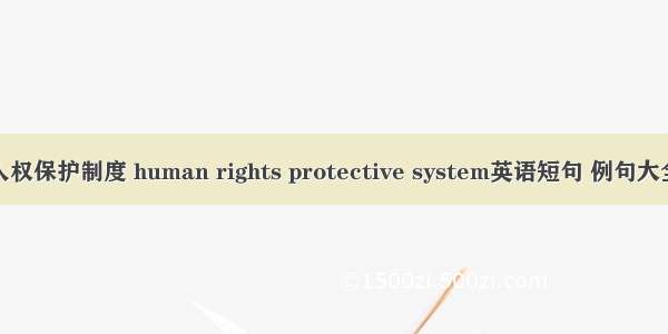 人权保护制度 human rights protective system英语短句 例句大全