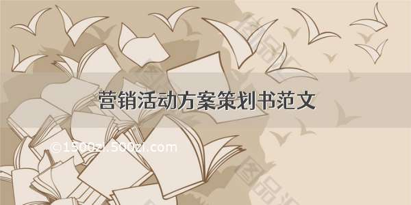 营销活动方案策划书范文