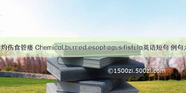 化学灼伤食管瘘 Chemical burned esophagus fistula英语短句 例句大全
