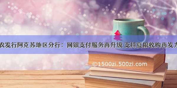 农发行阿克苏地区分行：网银支付服务再升级 支持夏粮收购再发力