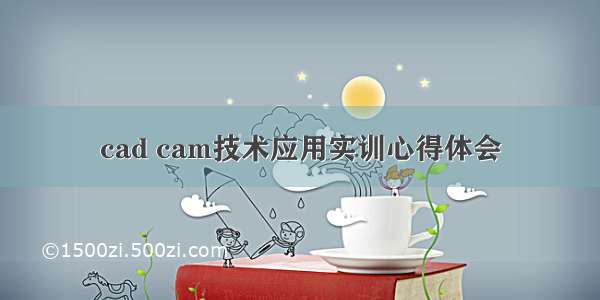 cad cam技术应用实训心得体会