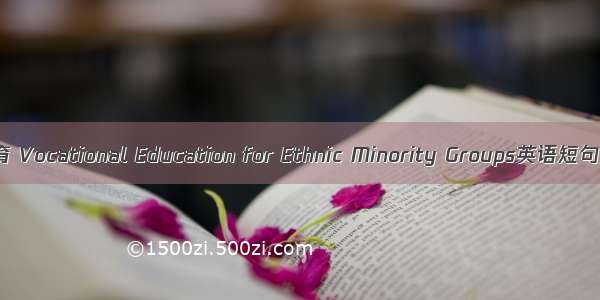 民族职业教育 Vocational Education for Ethnic Minority Groups英语短句 例句大全