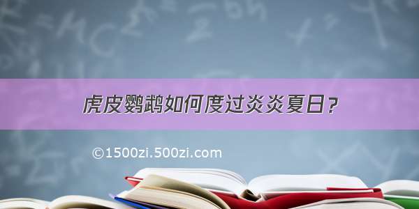 虎皮鹦鹉如何度过炎炎夏日？