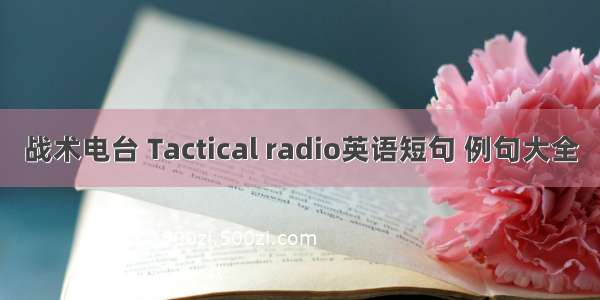 战术电台 Tactical radio英语短句 例句大全