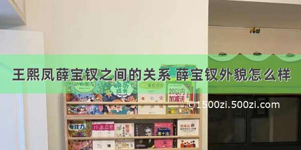 王熙凤薛宝钗之间的关系 薛宝钗外貌怎么样