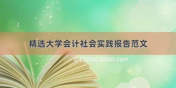 精选大学会计社会实践报告范文