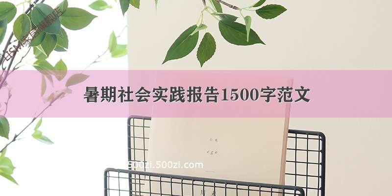 暑期社会实践报告1500字范文