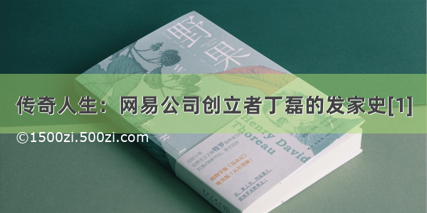 传奇人生：网易公司创立者丁磊的发家史[1]