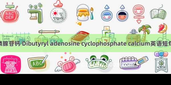 二丁酰环磷腺苷钙 Dibutyryl adenosine cyclophosphate calcium英语短句 例句大全