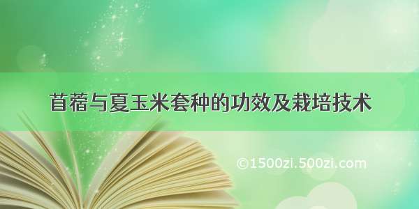 苜蓿与夏玉米套种的功效及栽培技术