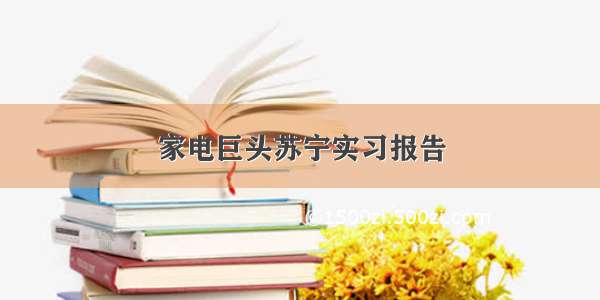 家电巨头苏宁实习报告