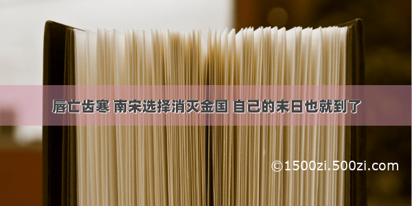 唇亡齿寒 南宋选择消灭金国 自己的末日也就到了