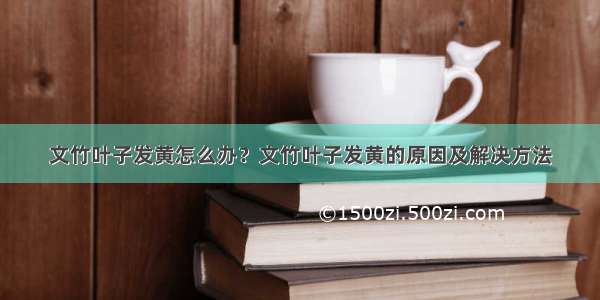 文竹叶子发黄怎么办？文竹叶子发黄的原因及解决方法