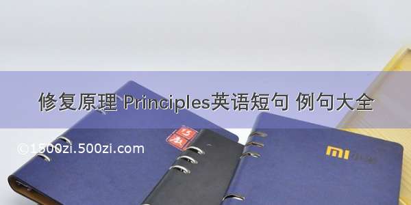 修复原理 Principles英语短句 例句大全