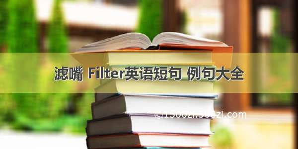 滤嘴 Filter英语短句 例句大全