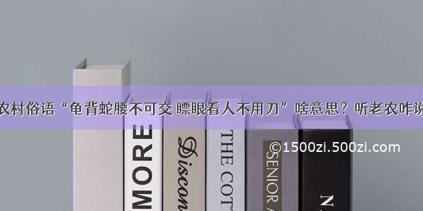 农村俗语“龟背蛇腰不可交 瞟眼看人不用刀”啥意思？听老农咋说