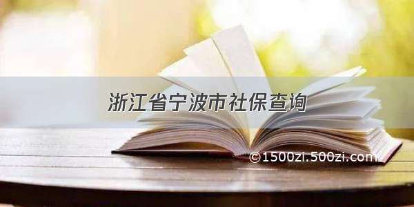 浙江省宁波市社保查询