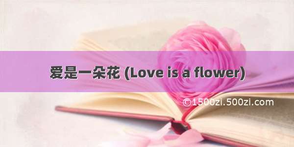 爱是一朵花 (Love is a flower)