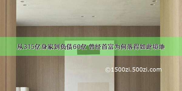 从315亿身家到负债60亿 曾经首富为何落得如此境地