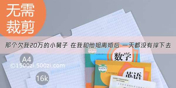 那个欠我20万的小舅子 在我和他姐离婚后 一天都没有撑下去