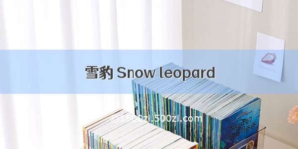 雪豹 Snow leopard