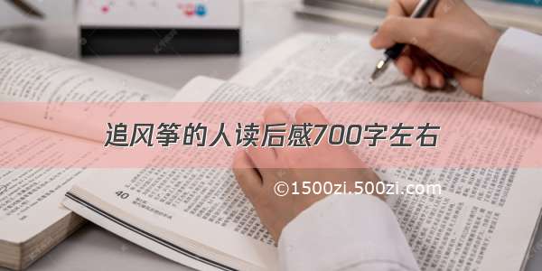 追风筝的人读后感700字左右