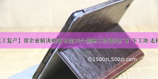 【复工复产】帮企业解决难题 云南10个调研工作组进厂矿 下工地 走村组…