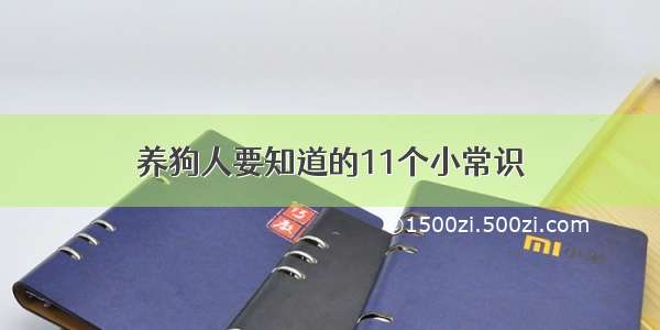 养狗人要知道的11个小常识