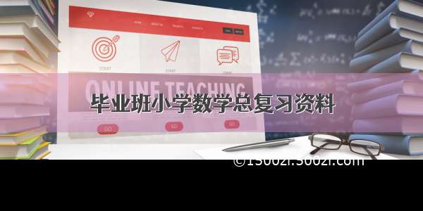 毕业班小学数学总复习资料