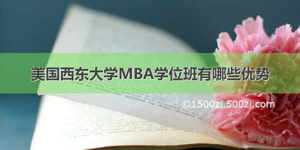 美国西东大学MBA学位班有哪些优势