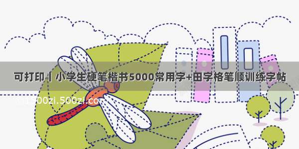 可打印丨小学生硬笔楷书5000常用字+田字格笔顺训练字帖