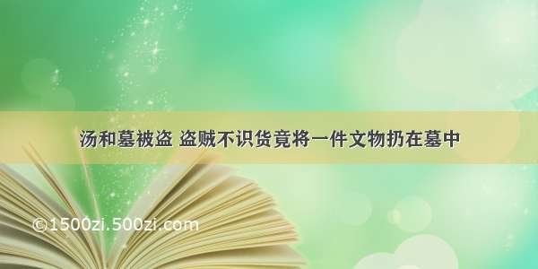 汤和墓被盗 盗贼不识货竟将一件文物扔在墓中