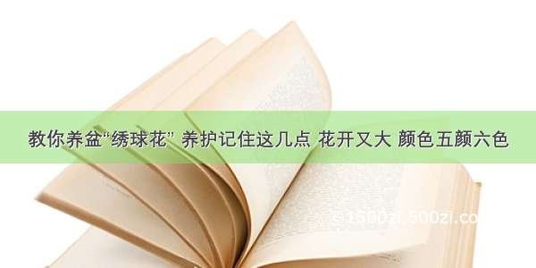 教你养盆“绣球花” 养护记住这几点 花开又大 颜色五颜六色