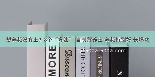 想养花没有土？3个“方法” 自制营养土 养花特别好 长爆盆