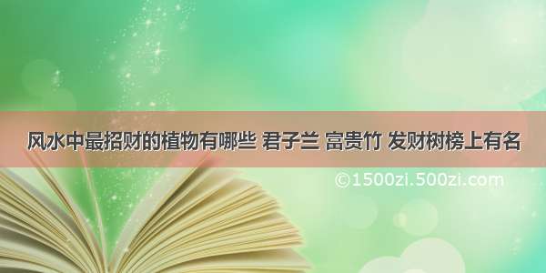 风水中最招财的植物有哪些 君子兰 富贵竹 发财树榜上有名