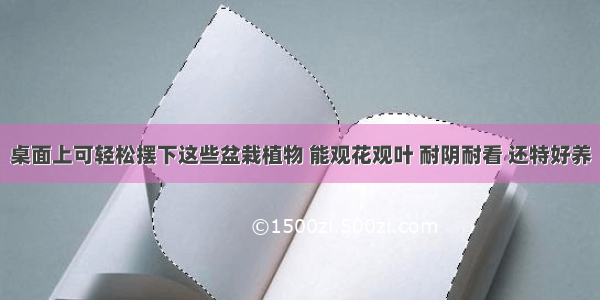 桌面上可轻松摆下这些盆栽植物 能观花观叶 耐阴耐看 还特好养