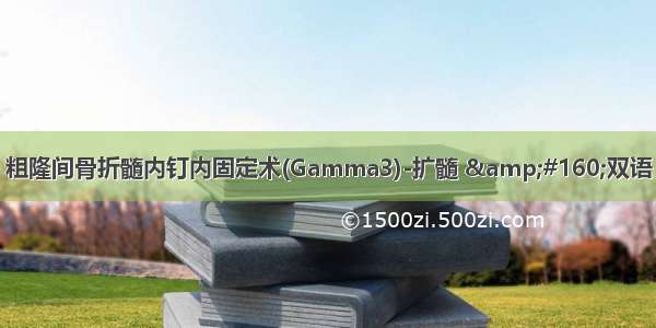 粗隆间骨折髓内钉内固定术(Gamma3)-扩髓 &#160;双语