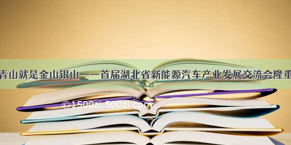 绿水青山就是金山银山——首届湖北省新能源汽车产业发展交流会隆重举行