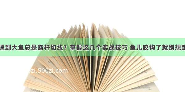 遇到大鱼总是断杆切线？掌握这几个实战技巧 鱼儿咬钩了就别想跑