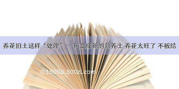 养花旧土这样“处理”一下 变成新的营养土 养花太旺了 不板结